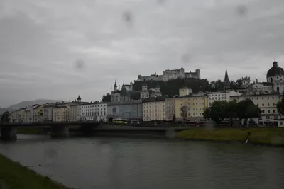 DSC_6140 (Large).JPG